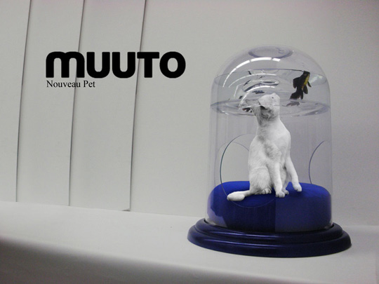 �������� ����