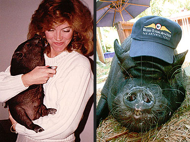 ������������� �� �������� �������!