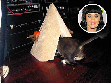 ���������� �� �������� ������