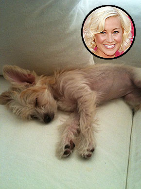 ���������� �� �������� ������