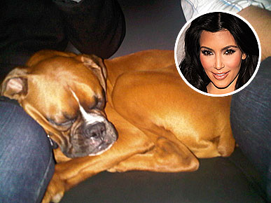 ���������� �� �������� ������