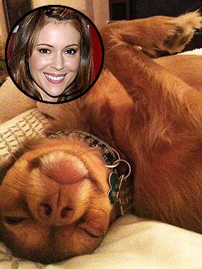 ���������� �� �������� ������