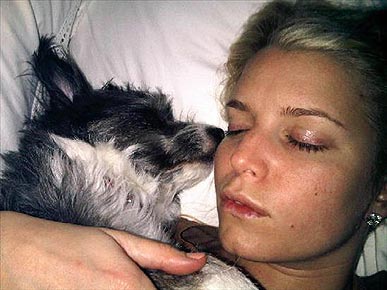 ���������� �� �������� ������