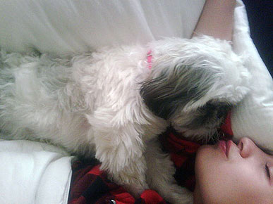 ���������� �� �������� ������