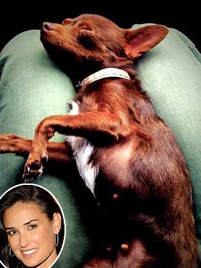 ���������� �� �������� ������