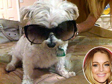 ���������� �� �������� ������