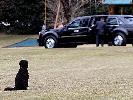 �������� ����������