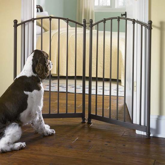 �������������� �����