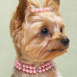 �������� ��� �����