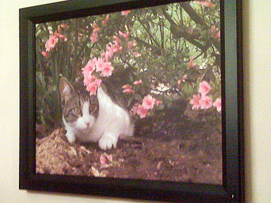 ��������� ������������