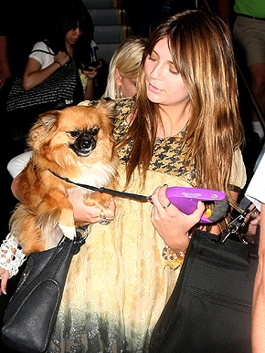 �� ������ ���� � �����!