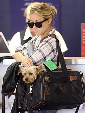 �� ������ ���� � �����!