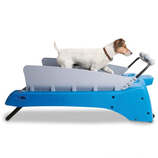 ������� ������� ��� �����