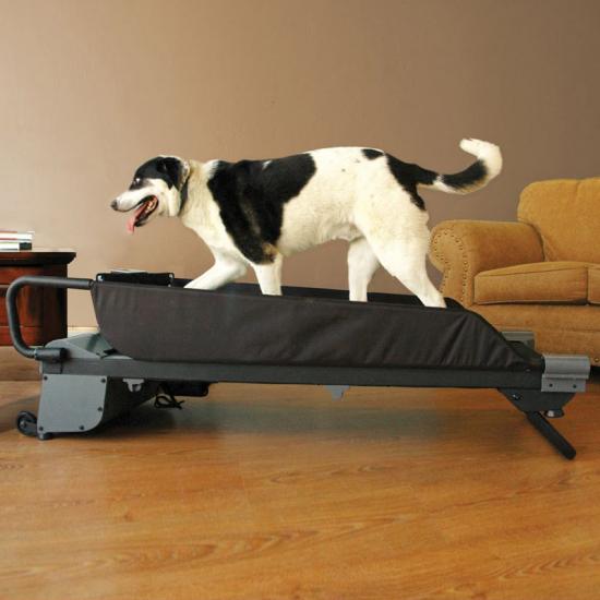 ������� ������� ��� �����