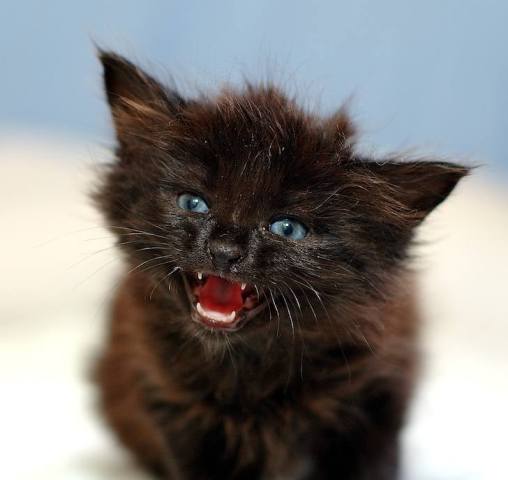 �� ��������� ����! ����� ����������� ������ ������