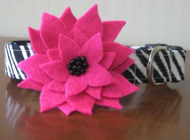 �������� ����� ��� �����