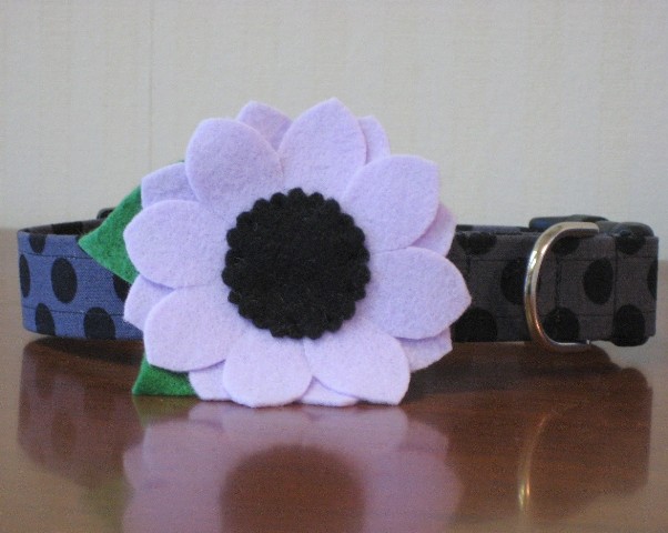 �������� ����� ��� �����