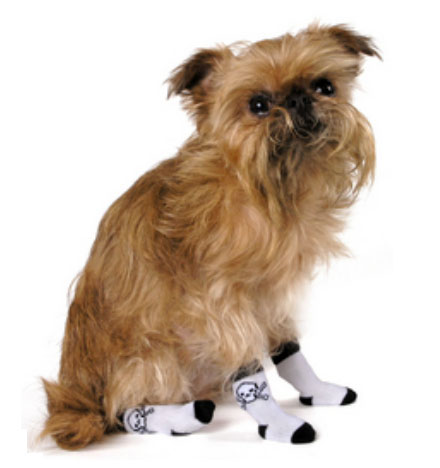 ������� ��� �����