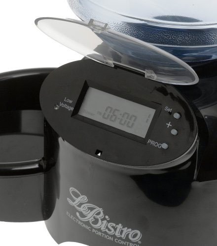 �������������� �������� ��� ����� � �����