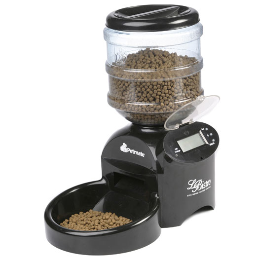 �������������� �������� ��� ����� � �����