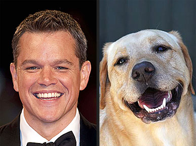 ����� �������