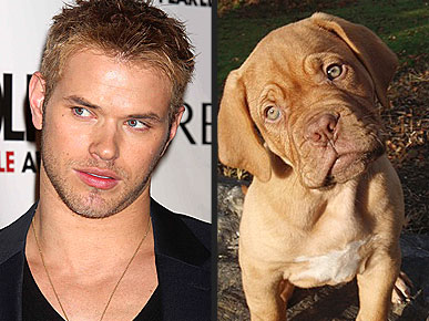 ����� �������