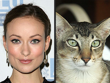 ����� �������