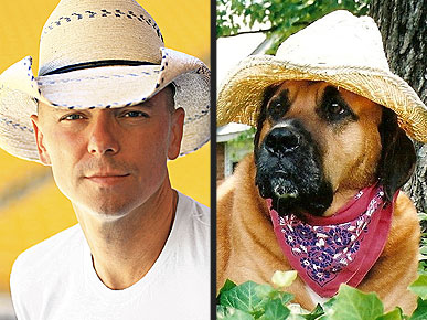 ����� �������