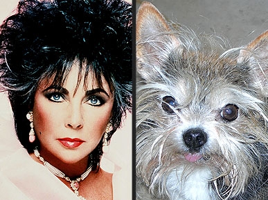 ����� �������