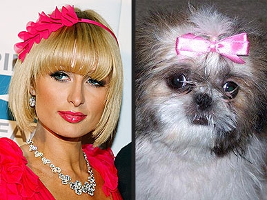 ����� �������