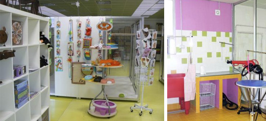 Spa-отель для кошек Spa-отель для кошек