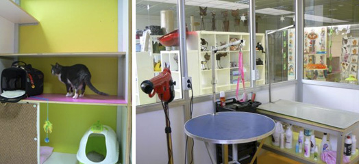 Spa-отель для кошек Spa-отель для кошек