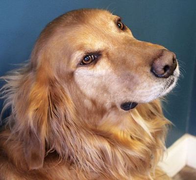 ����������??? ��, ���������