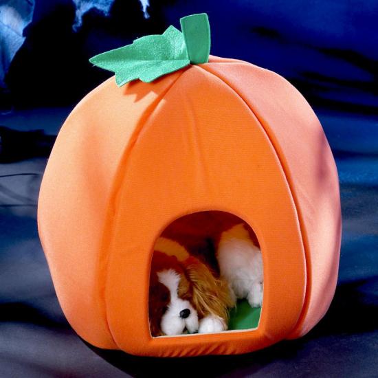 �����-����� ��� ������� ����