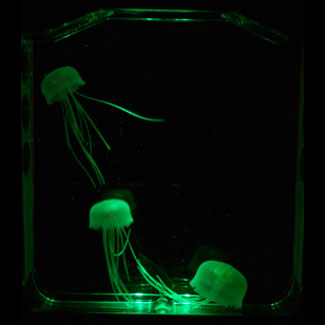 ���������� �������� � �������������� ��������