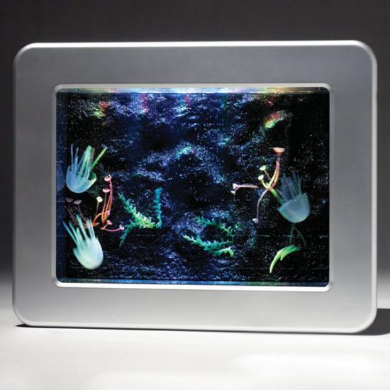 ���������� �������� � �������������� ��������