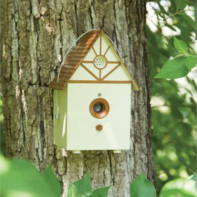 ���������� ������ ��������� ���