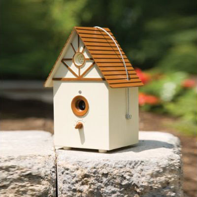 ���������� ������ ��������� ���