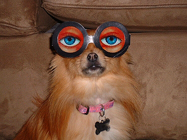 ���� �������� �������. �������� ������.