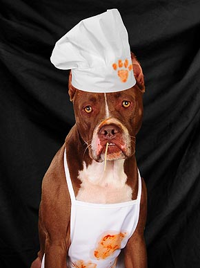 ���� �������� �������. �������� ������.