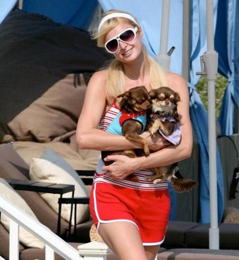 ������� � �����