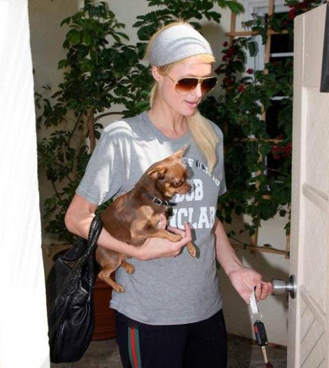 ������� � �����