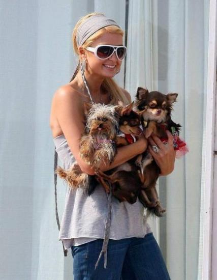 ������� � �����