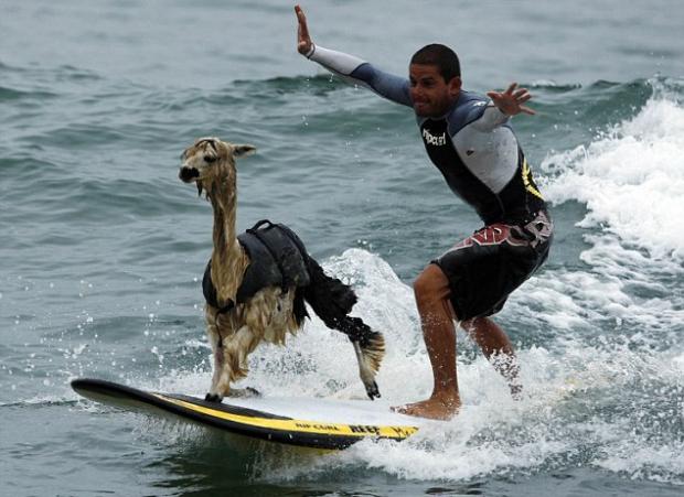 ������� � ������