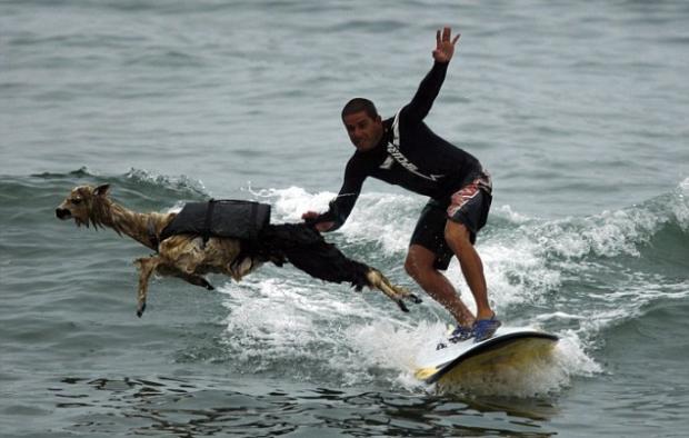 ������� � ������