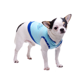 ������ � ������� ����������