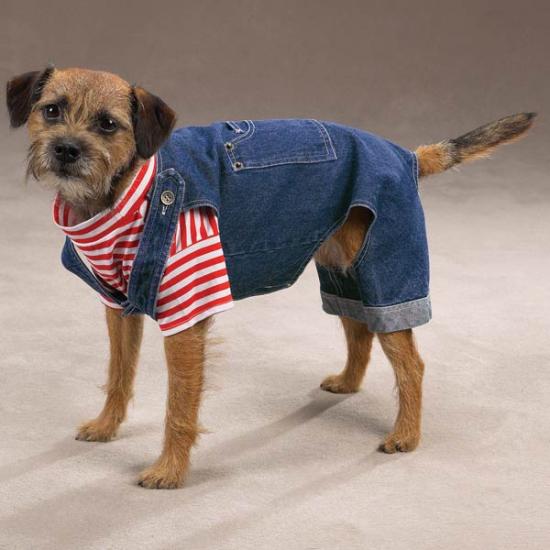 ������ � ������� ����������