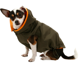 ������ � ������� ����������