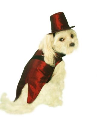 ������ � ������� ����������