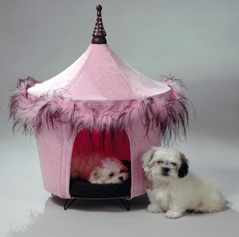 ��������� ���� ��� ��������� �����